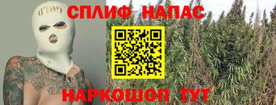 Альфа ПВП Шебекино
